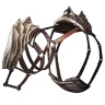 Lost Megatherium Saddle