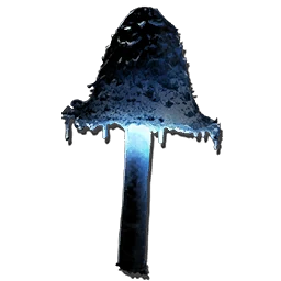 Ascerbic Mushroom