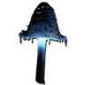 Fungo aspro