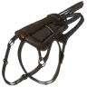 Ichthyosaurus Saddle