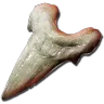 Dent de Mégalodon à rayures dorées