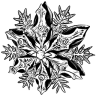 Invocador