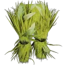 Gambali Ghillie in erba
