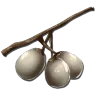 Stimberry