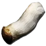 포자 목재 수확