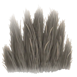 Pelt