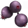 Mejoberry