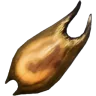 Fertilized X-Helicoprion Egg
