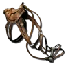 Sela de Paquirrinossauro