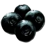 Narcobes oogsten