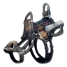 Castoroides Saddle