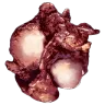 R-5異種植物種子(優質生魚肉)
