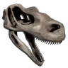 Costume osseo per Raptor