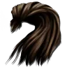 Cheveux humains