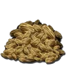 Seme di Sassarota