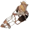 Fasolasuchus Saddle