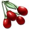 Tintoberry