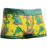 Ichthy Island Swim Shorts