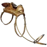 Montura de Ceratosaurio