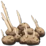 Kartoffel-Saat-Ernte