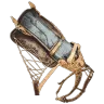 Montura de Palaeoctopus
