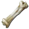 Dinosaur Bone