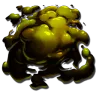 Ammonite Bile harvesting