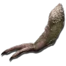 ティラノサウルスの腕