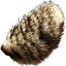 Bunny Tail