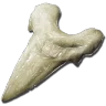 Dent de Mégalodon