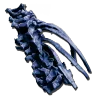 Barbillon de Roi Faucheur (Alpha)