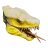 Beta Hydraskos Trophy
