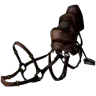 Raptor Eyeri