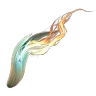 炎のボアラトスの牙