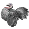 Sombrero de pavo
