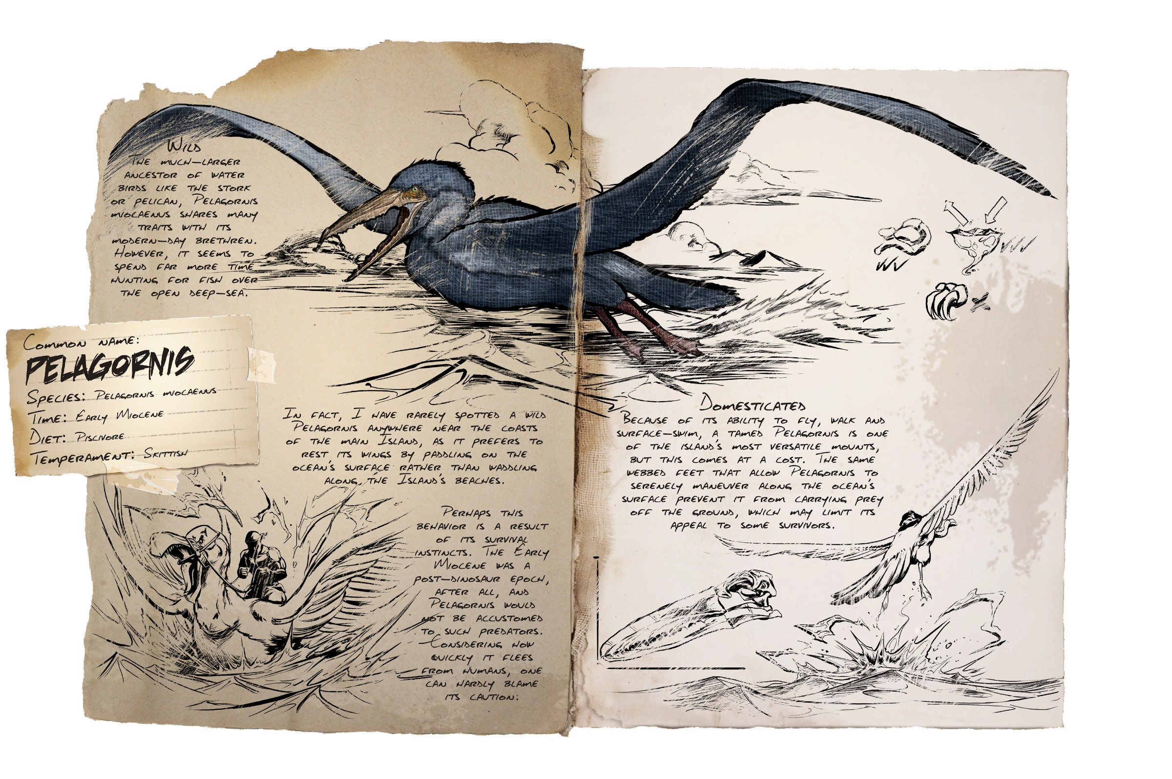 Pelagornis Dossier