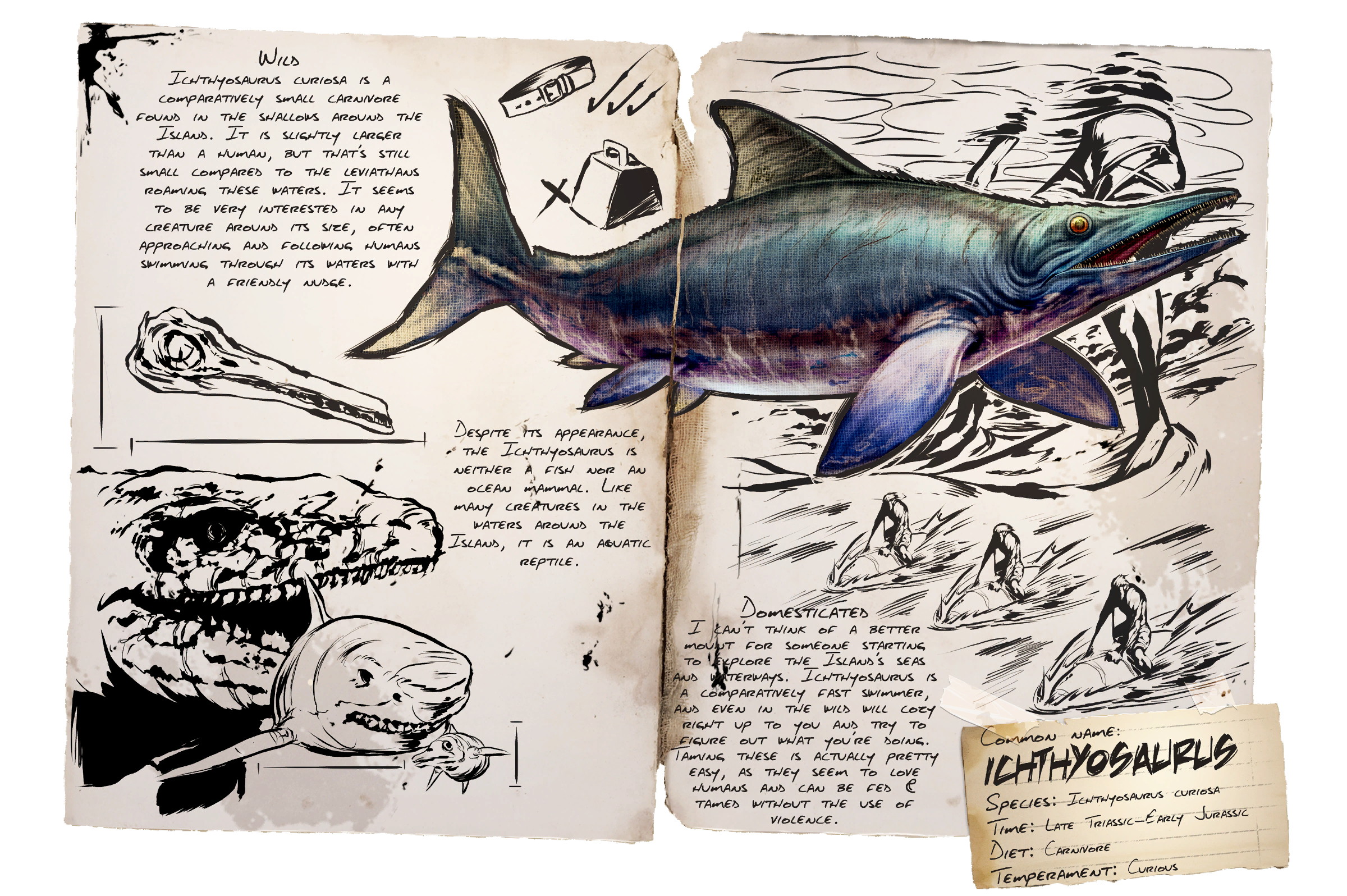 Ichthyosaurus Dossier
