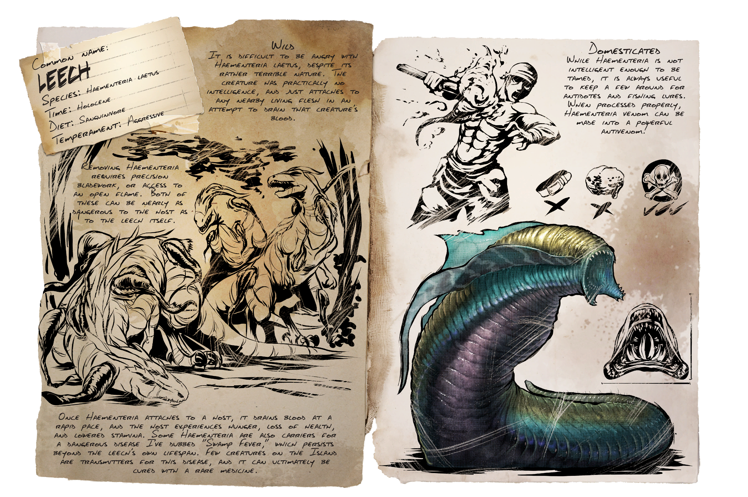 Leech Dossier