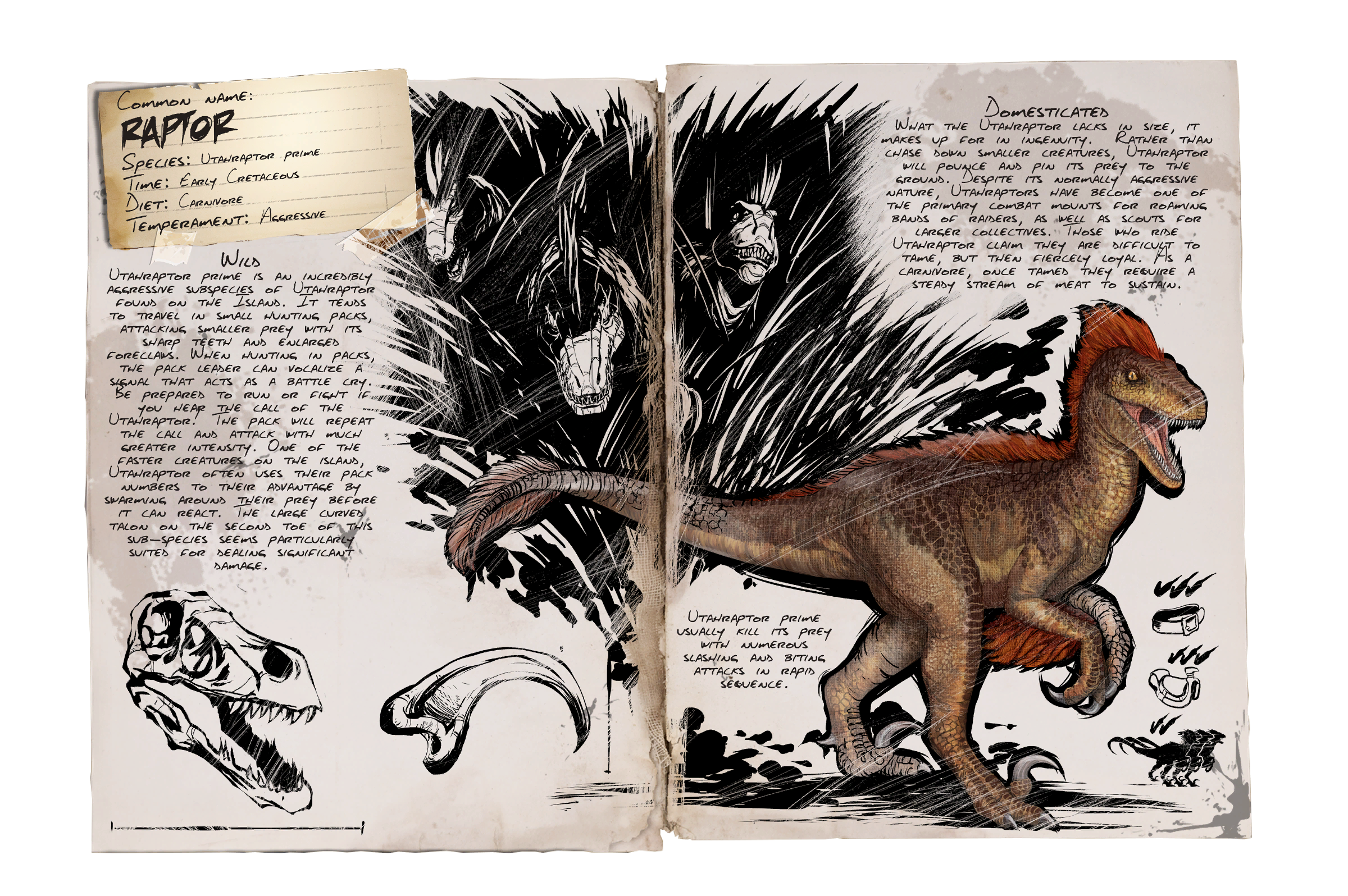 Raptor Dossier