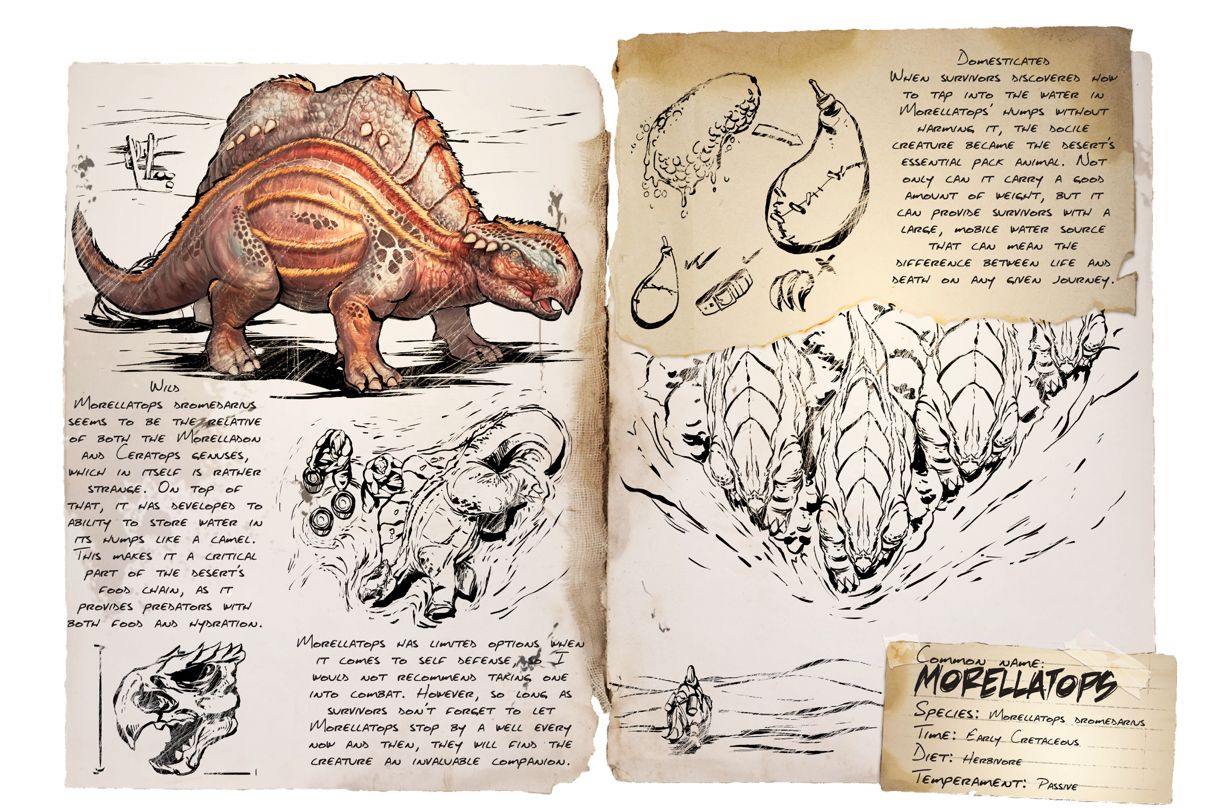 Morellatops Dossier