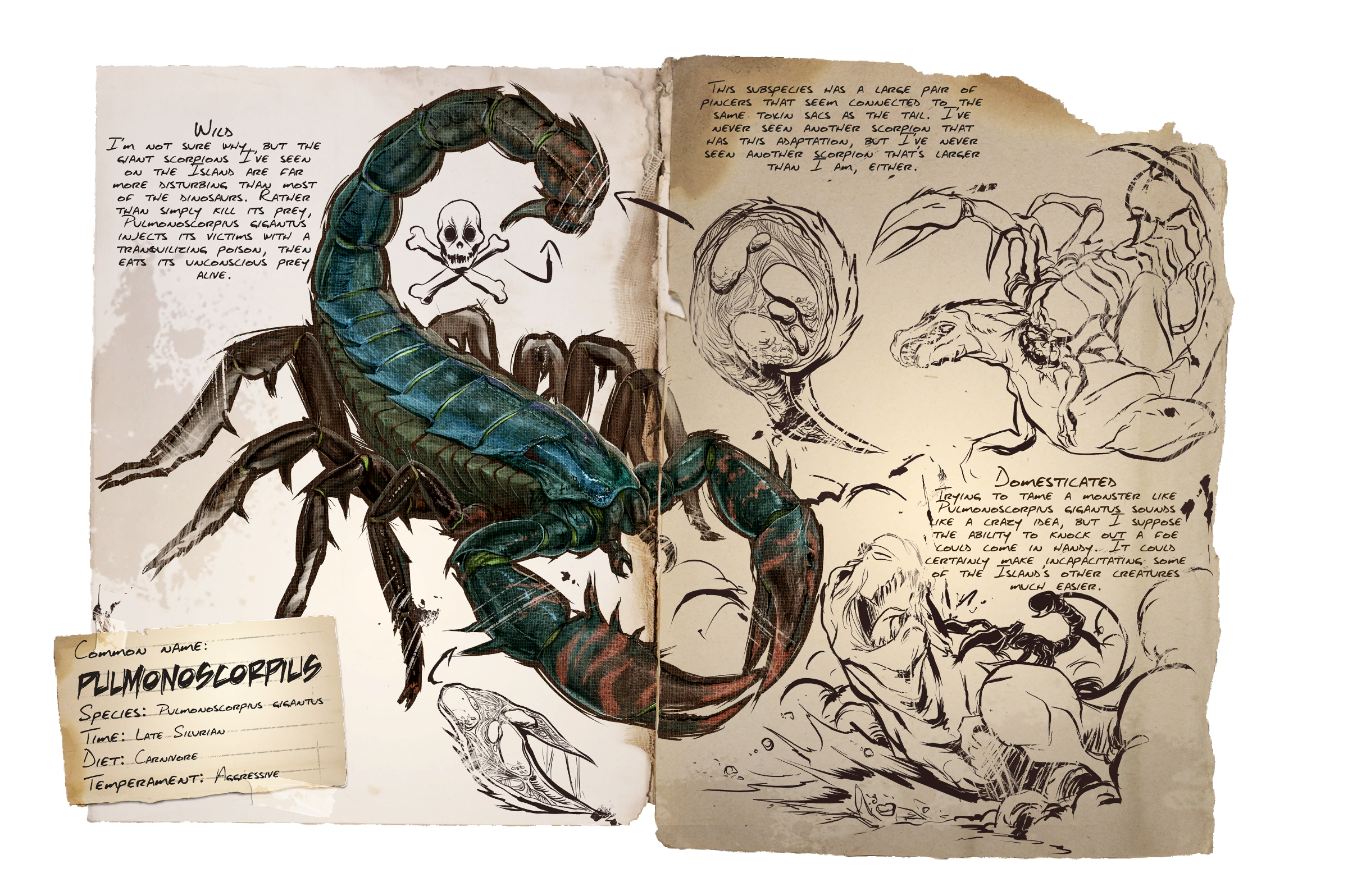 Pulmonoscorpius Dossier