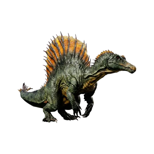 Spino