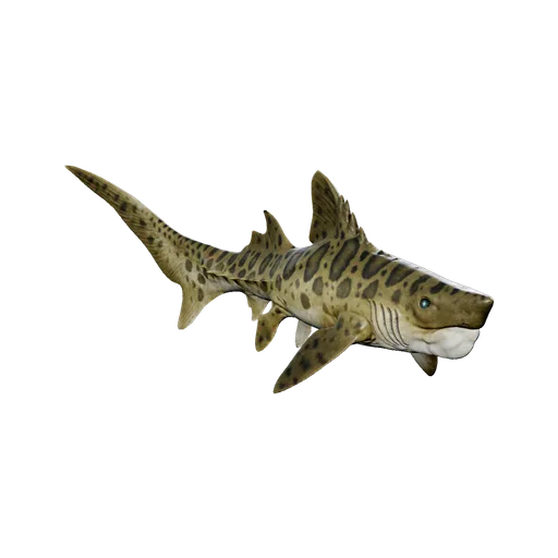 Helicoprion