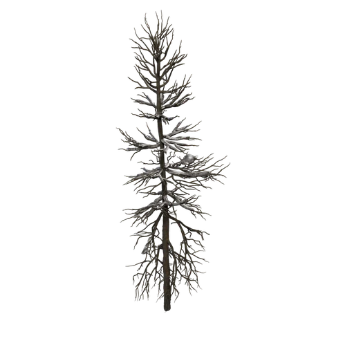 Tamarack D Snow