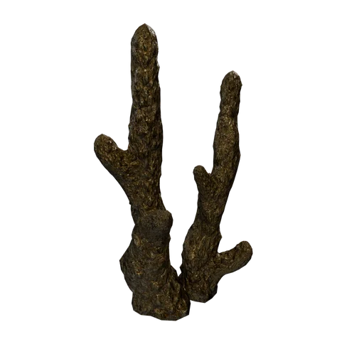CoralStone-07