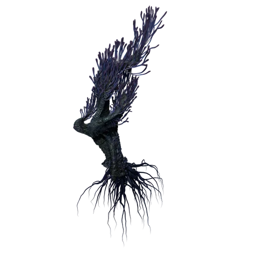 MermaidTail B