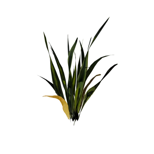 Plant05 SM