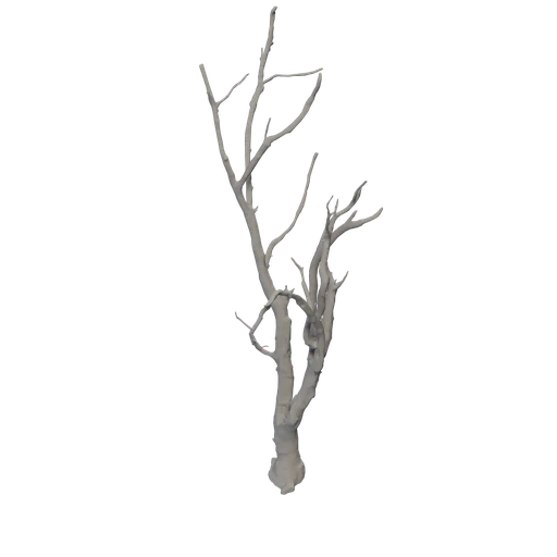 Wood Trees