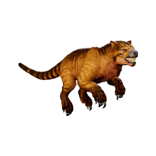 Thylacoleo