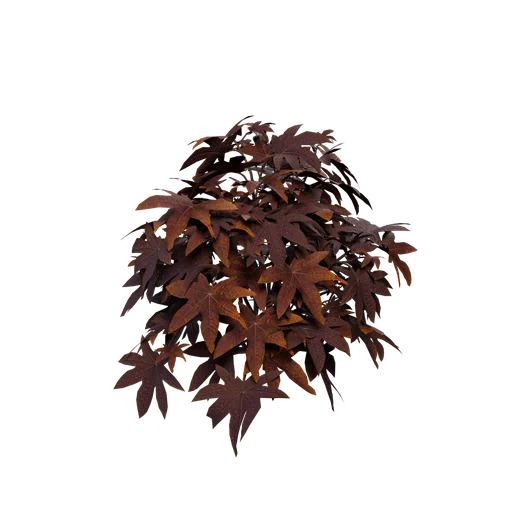 CastorOil A